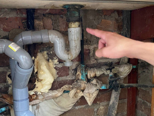 Best Flood restoration services  in Panama City Beach, FL